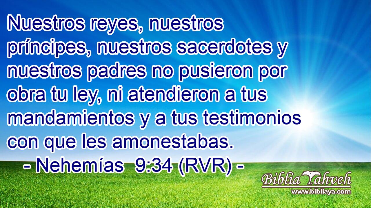 Nuestros reyes, nuestros príncipes, nuestros sacerdotes y nuestros padres no pusieron por obra tu ley, ni atendieron a tus mandamientos y a tus testimonios con que les amonestabas.