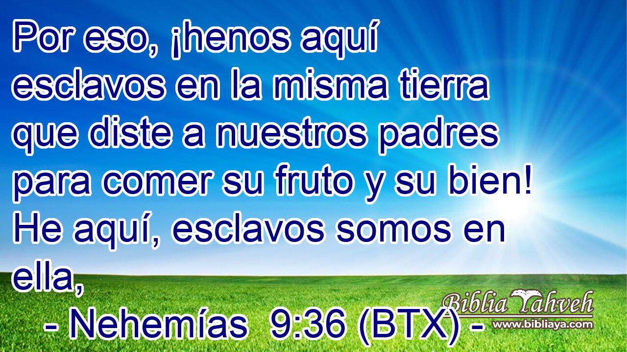 Por eso, ¡henos aquí esclavos en la misma tierra que diste a nuestros padres para comer su fruto y su bien! He aquí, esclavos somos en ella,