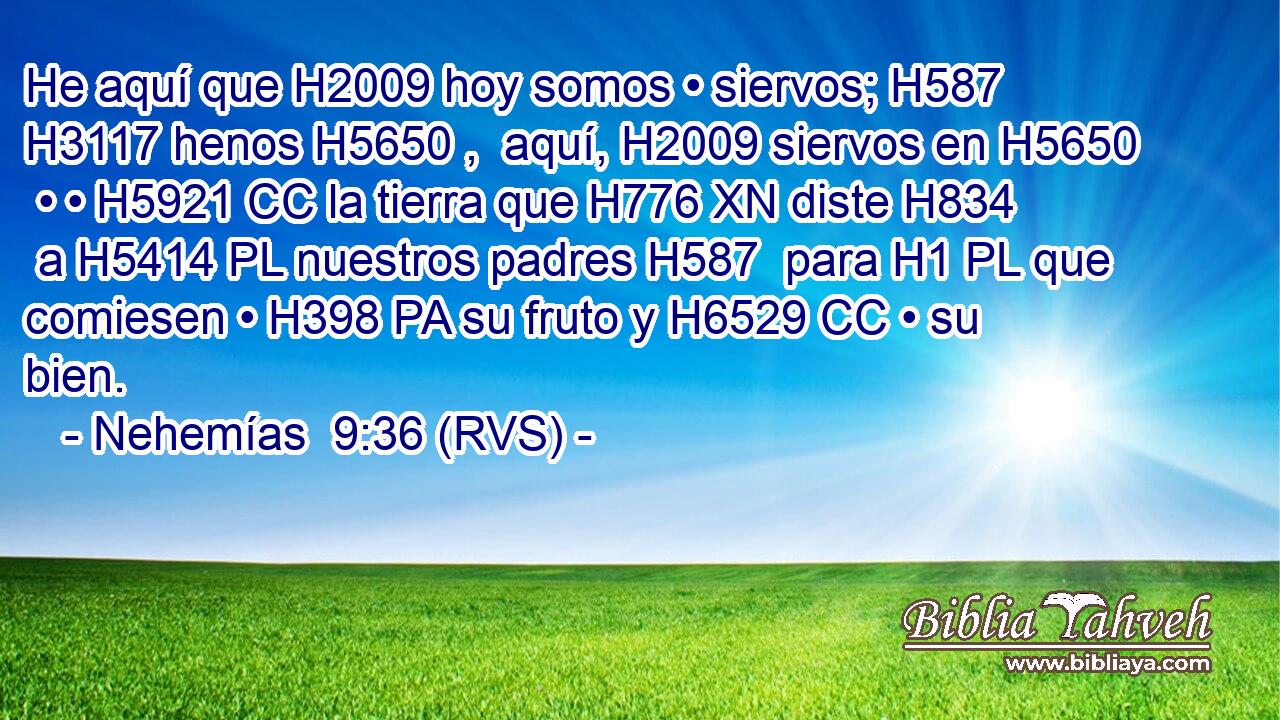He aquí que H2009 hoy somos • siervos; H587  H3117 henos H5650 ,  aquí, H2009 siervos en H5650  • • H5921 CC la tierra que H776 XN diste H834  a H5414 PL nuestros padres H587  para H1 PL que comiesen • H398 PA su fruto y H6529 CC • su bien. 