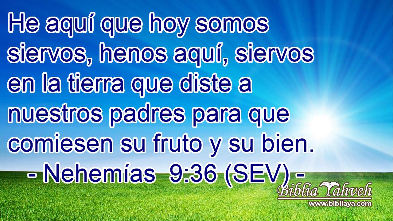 He aquí que hoy somos siervos, henos aquí, siervos en la tierra que diste a nuestros padres para que comiesen su fruto y su bien.