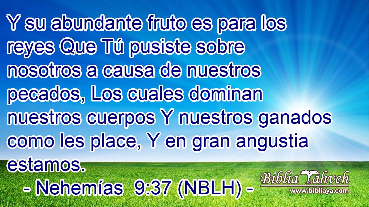  Y su abundante fruto es para los reyes Que Tú pusiste sobre nosotros a causa de nuestros pecados, Los cuales dominan nuestros cuerpos Y nuestros ganados como les place, Y en gran angustia estamos. 