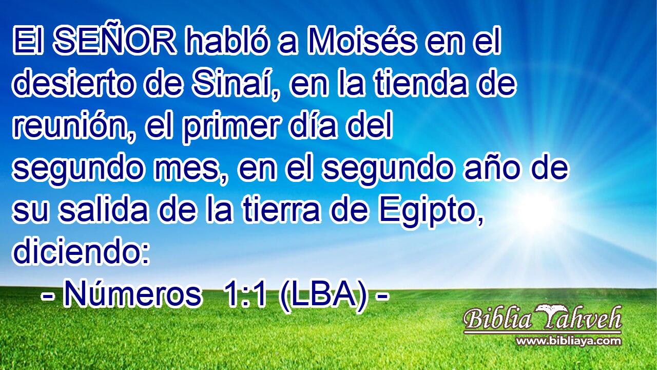 El SEÑOR habló a Moisés en el desierto de Sinaí, en la tienda de reunión, el primer día del segundo mes, en el segundo año de su salida de la tierra de Egipto, diciendo: