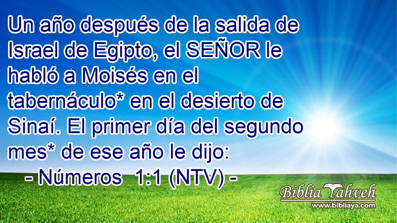 Un año después de la salida de Israel de Egipto, el SEÑOR le habló a Moisés en el tabernáculo* en el desierto de Sinaí. El primer día del segundo mes* de ese año le dijo: