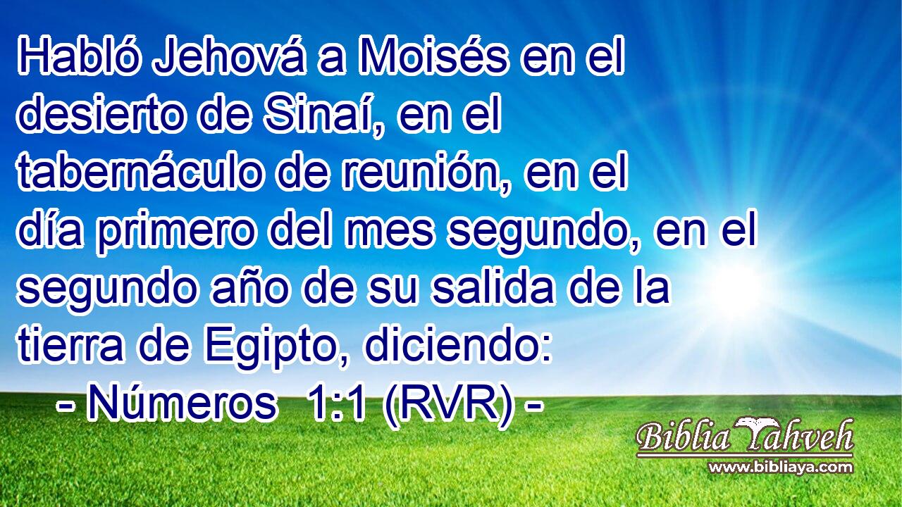 Habló Jehová a Moisés en el desierto de Sinaí, en el tabernáculo de reunión, en el día primero del mes segundo, en el segundo año de su salida de la tierra de Egipto, diciendo: