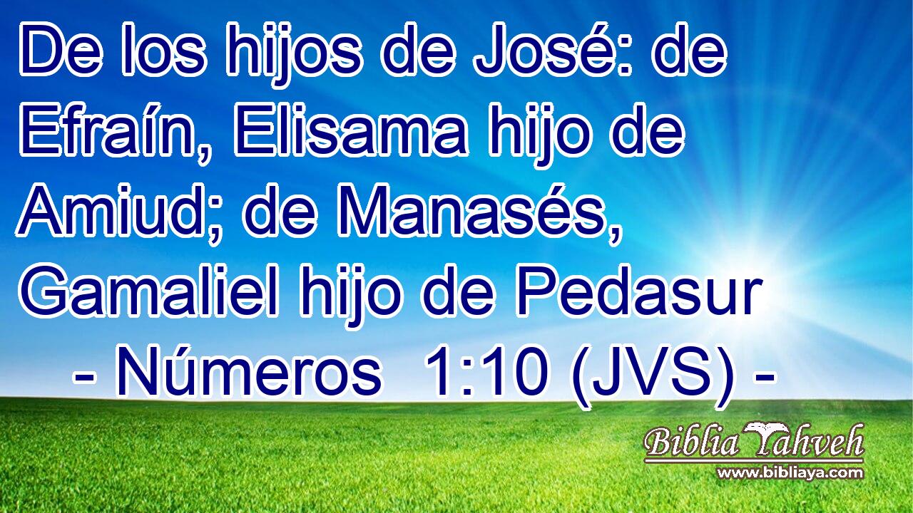 De los hijos de José: de Efraín, Elisama hijo de Amiud; de Manasés, Gamaliel hijo de Pedasur