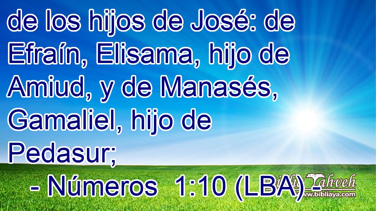 de los hijos de José: de Efraín, Elisama, hijo de Amiud, y de Manasés, Gamaliel, hijo de Pedasur;