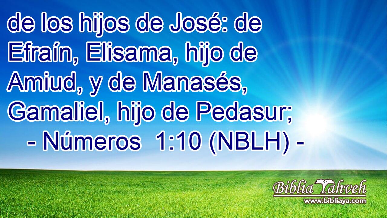  de los hijos de José: de Efraín, Elisama, hijo de Amiud, y de Manasés, Gamaliel, hijo de Pedasur; 