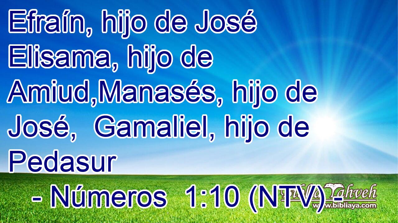 Efraín, hijo de José  Elisama, hijo de Amiud,Manasés, hijo de José,  Gamaliel, hijo de Pedasur