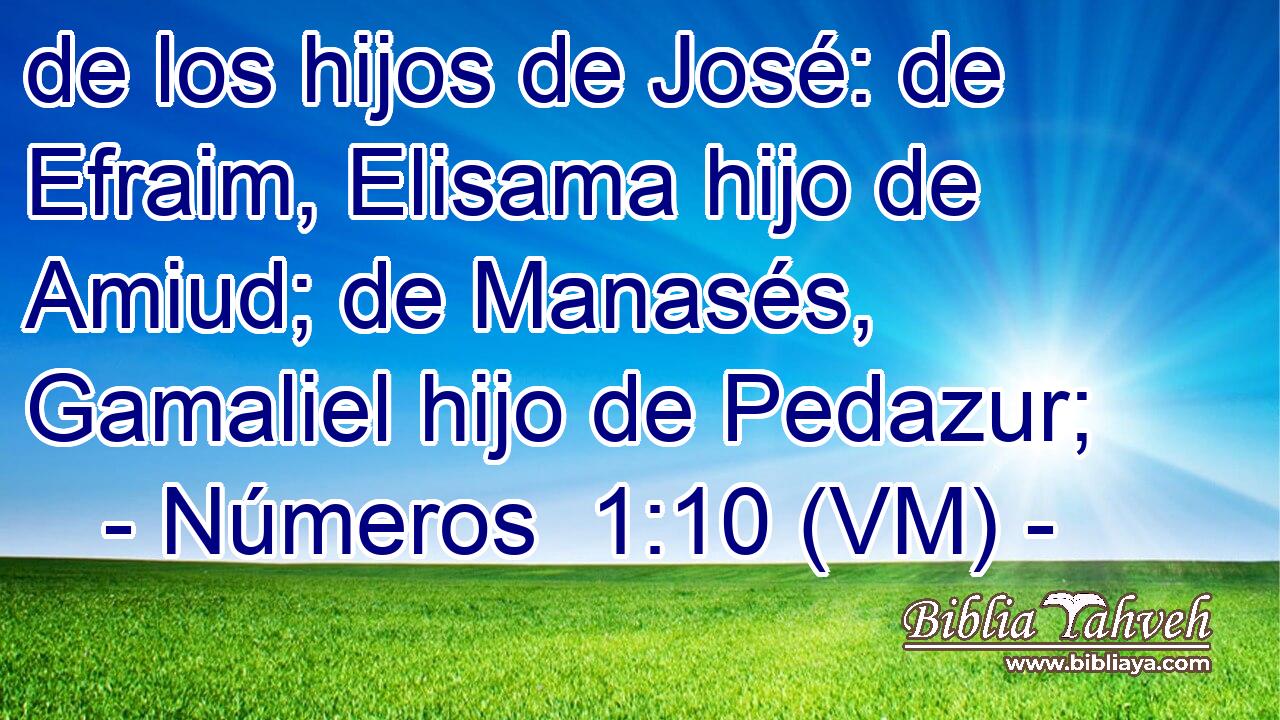  de los hijos de José: de Efraim, Elisama hijo de Amiud; de Manasés, Gamaliel hijo de Pedazur; 