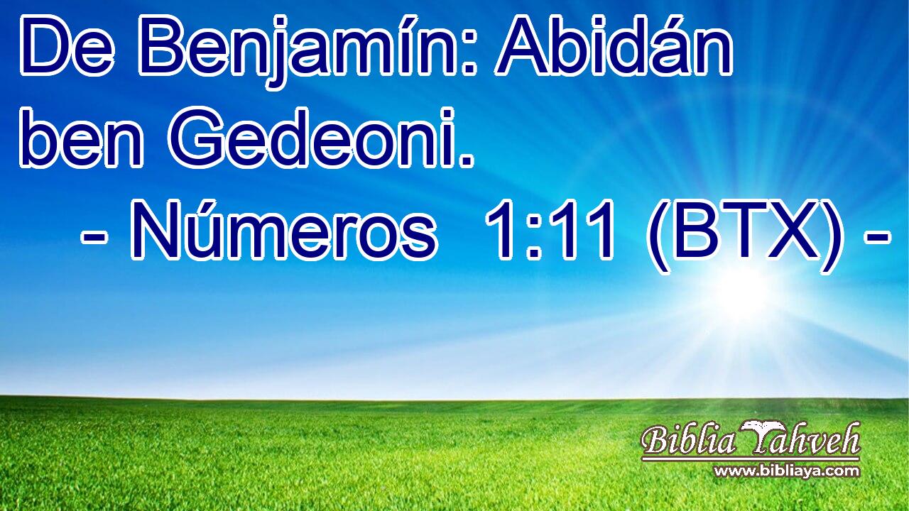 De Benjamín: Abidán ben Gedeoni.