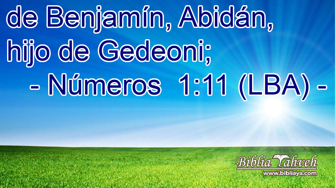 de Benjamín, Abidán, hijo de Gedeoni;