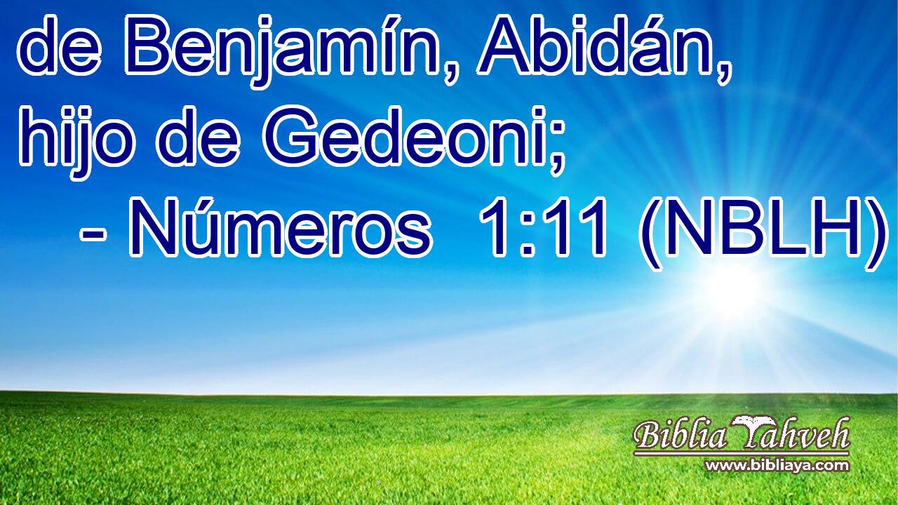  de Benjamín, Abidán, hijo de Gedeoni; 