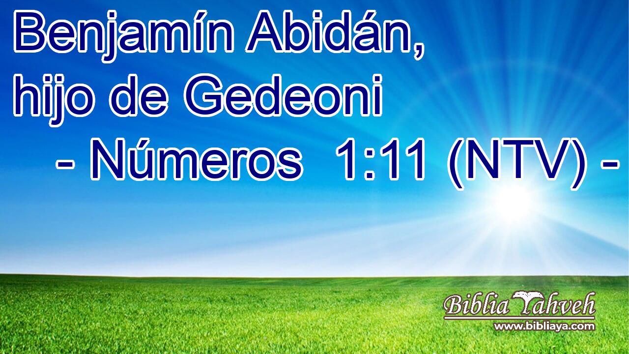 Benjamín Abidán, hijo de Gedeoni    