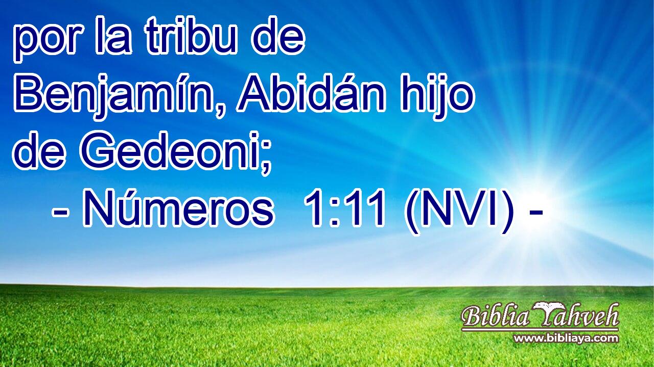  por la tribu de Benjamín, Abidán hijo de Gedeoni; 