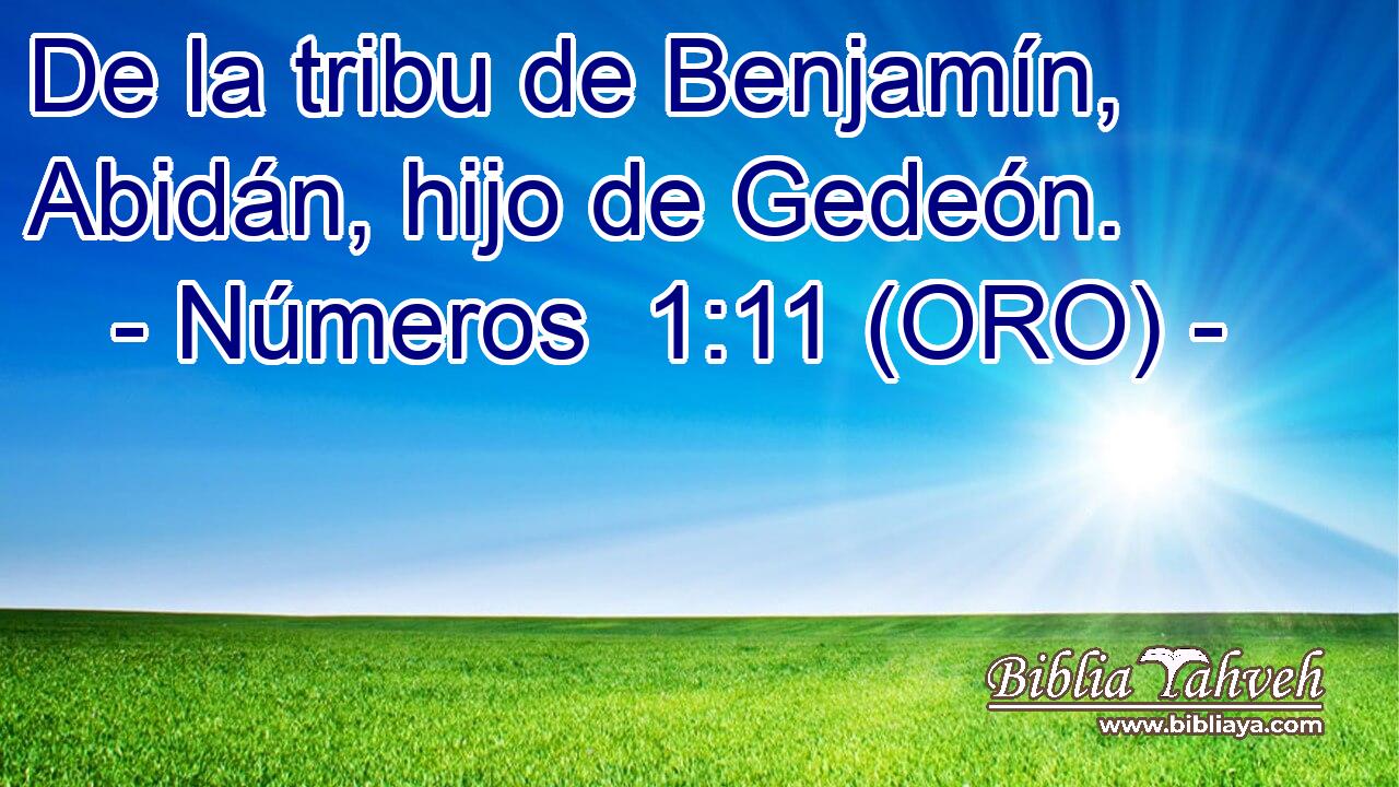 De la tribu de Benjamín, Abidán, hijo de Gedeón. 
