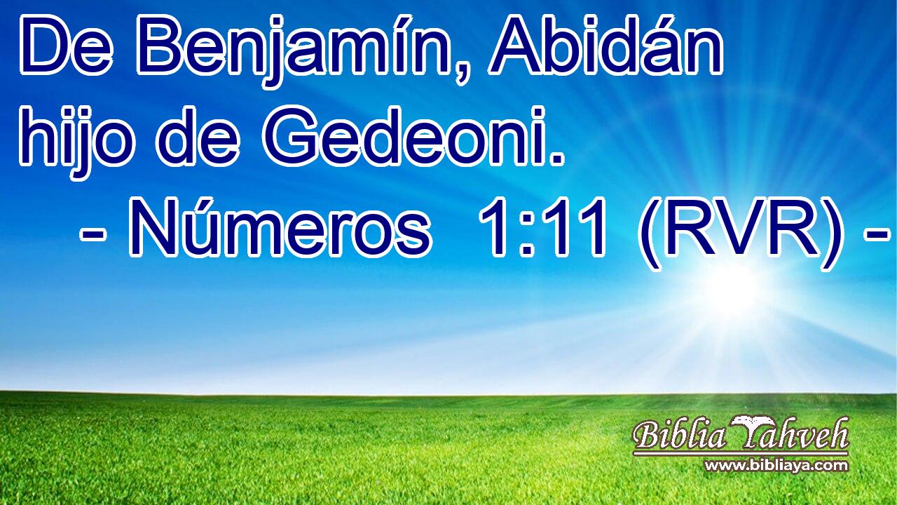 De Benjamín, Abidán hijo de Gedeoni.
