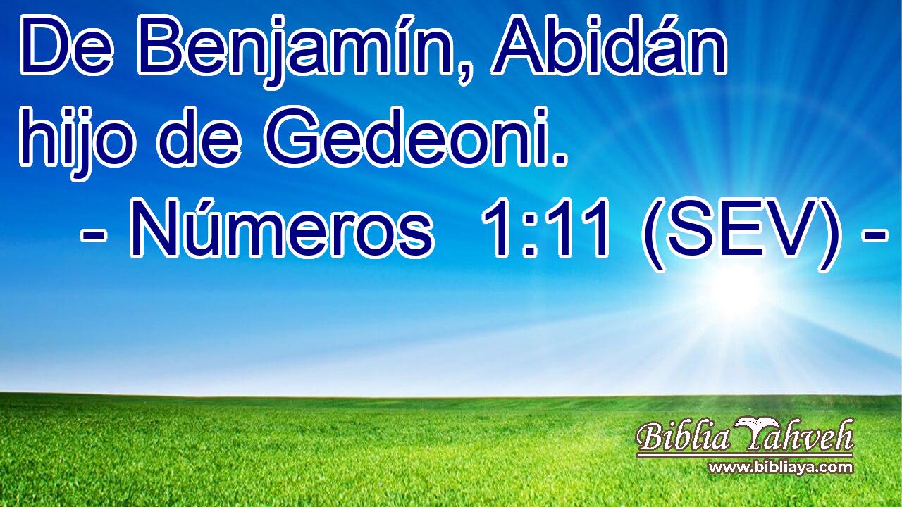 De Benjamín, Abidán hijo de Gedeoni.