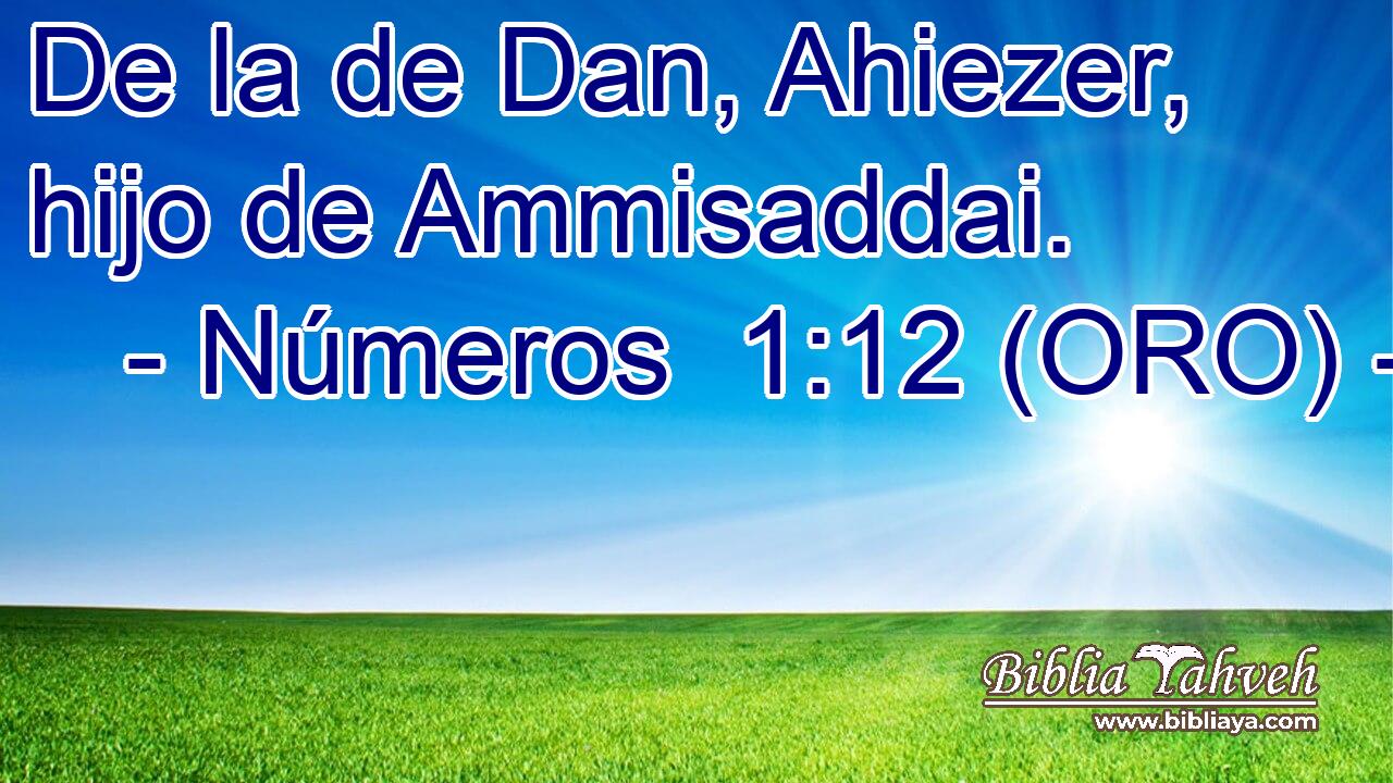  De la de Dan, Ahiezer, hijo de Ammisaddai. 