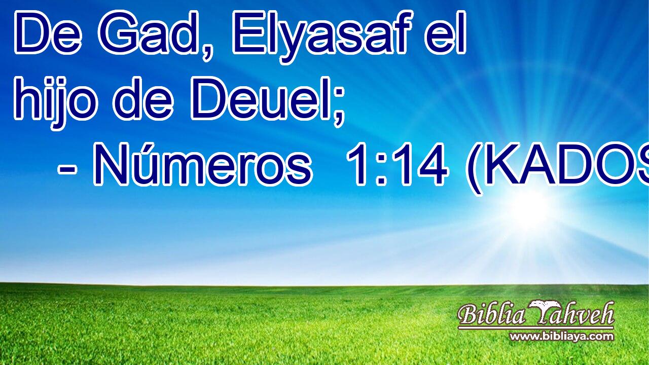  De Gad, Elyasaf el hijo de Deuel; 