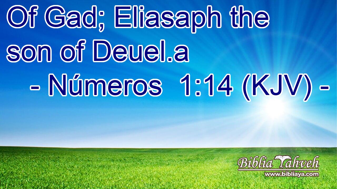 Of Gad; Eliasaph the son of Deuel.a