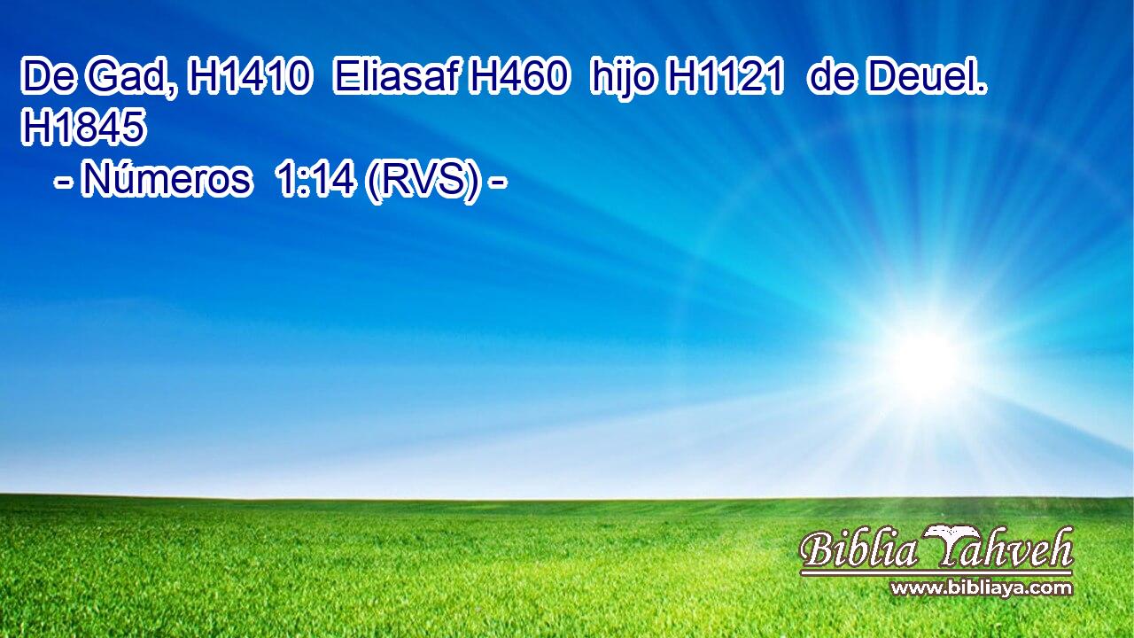 De Gad, H1410  Eliasaf H460  hijo H1121  de Deuel. H1845  