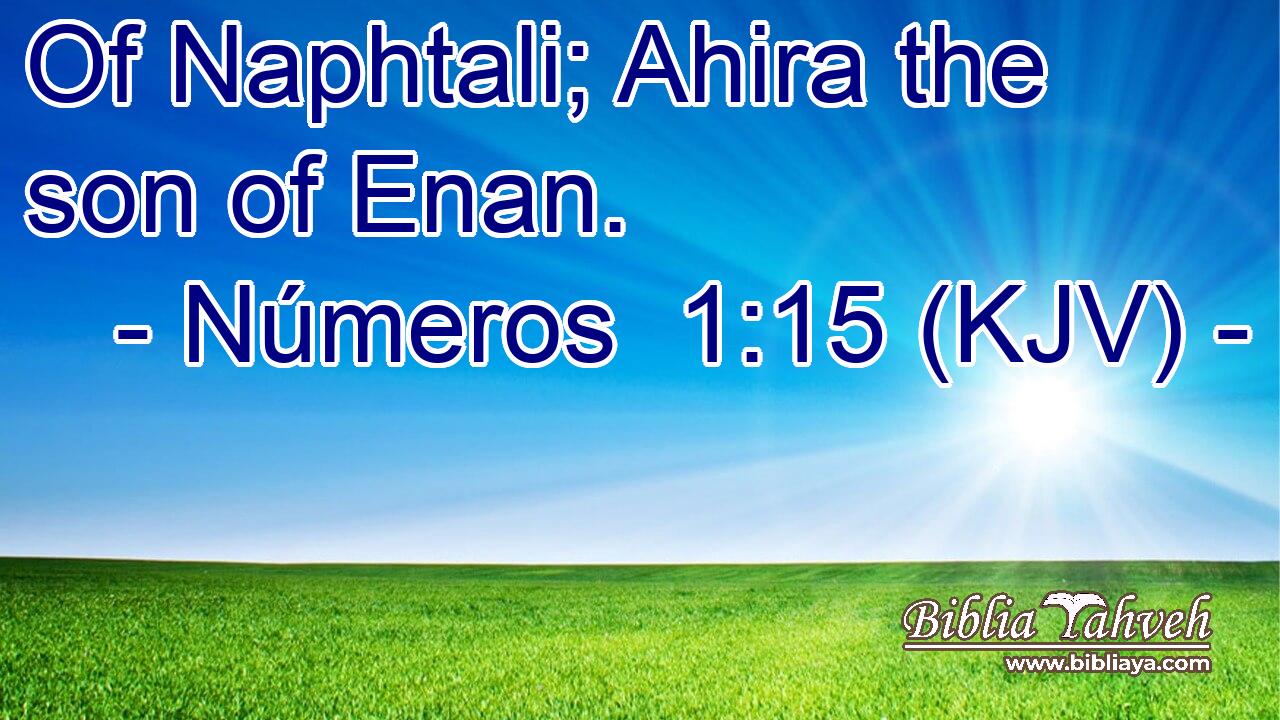 Of Naphtali; Ahira the son of Enan.
