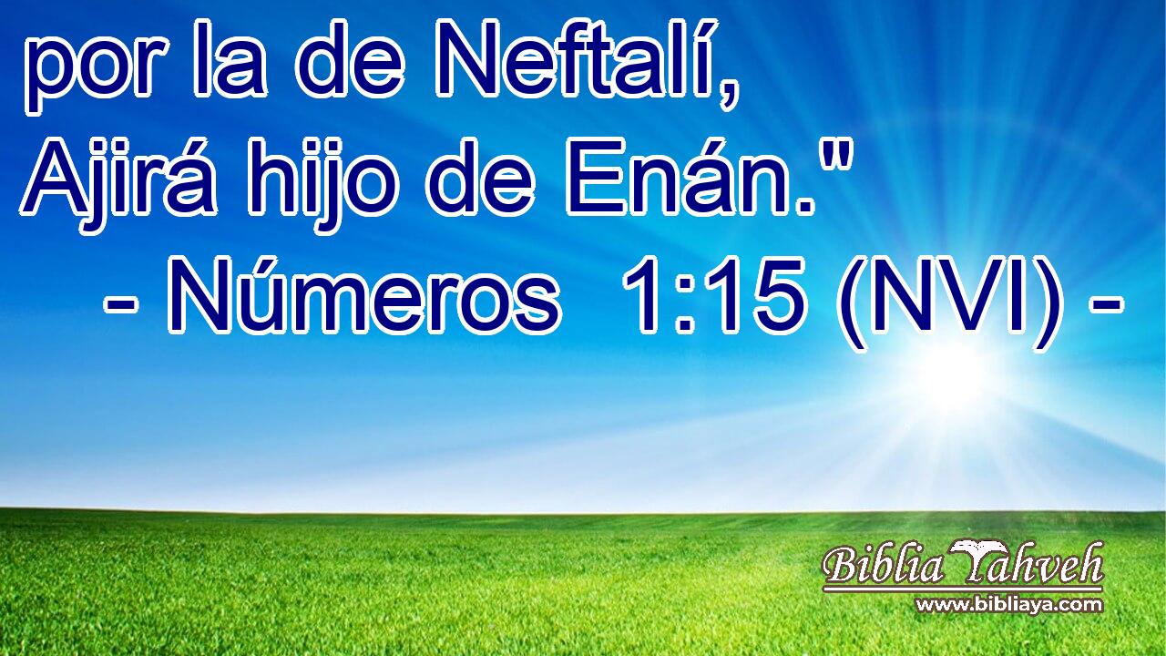  por la de Neftalí, Ajirá hijo de Enán.