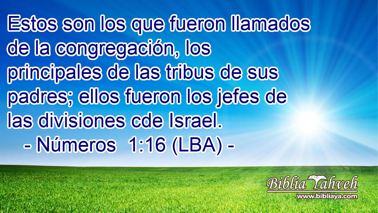 Estos son los que fueron llamados de la congregación, los principales de las tribus de sus padres; ellos fueron los jefes de las divisiones cde Israel.