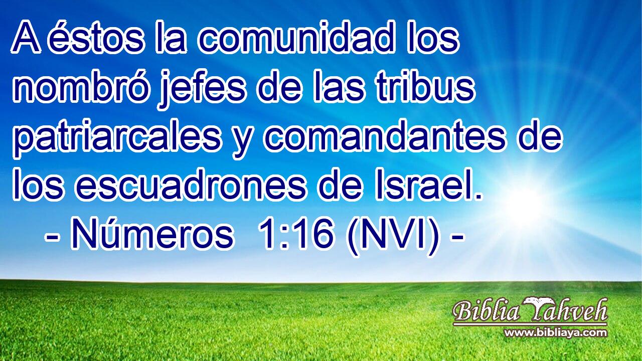  A éstos la comunidad los nombró jefes de las tribus patriarcales y comandantes de los escuadrones de Israel. 