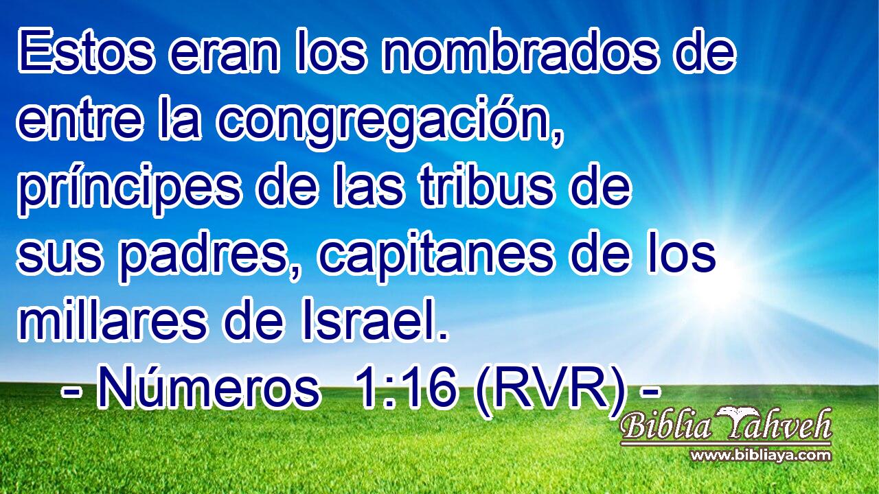 Estos eran los nombrados de entre la congregación, príncipes de las tribus de sus padres, capitanes de los millares de Israel.