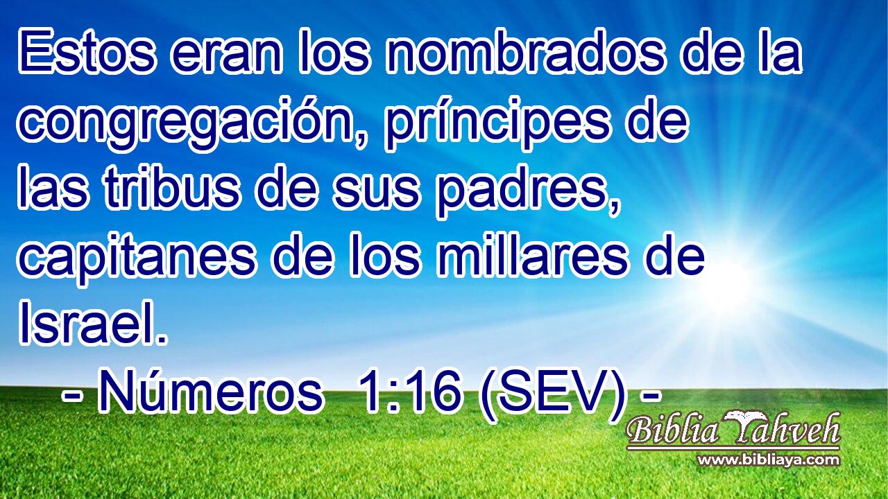 Estos eran los nombrados de la congregación, príncipes de las tribus de sus padres, capitanes de los millares de Israel.