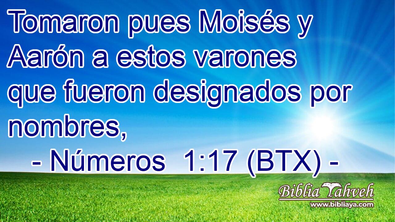 Tomaron pues Moisés y Aarón a estos varones que fueron designados por nombres,