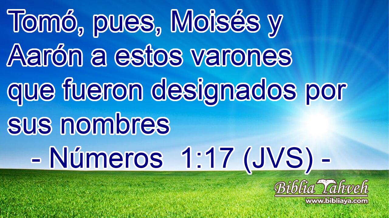 Tomó, pues, Moisés y Aarón a estos varones que fueron designados por sus nombres