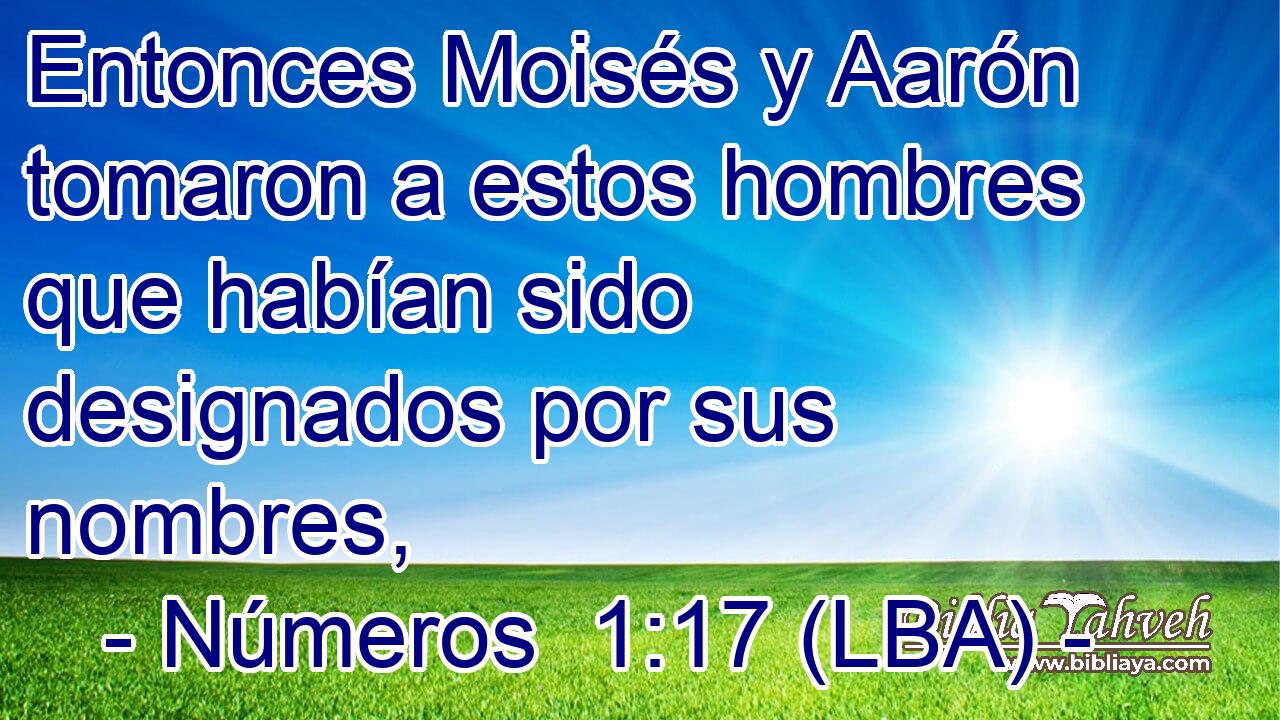 Entonces Moisés y Aarón tomaron a estos hombres que habían sido designados por sus nombres,