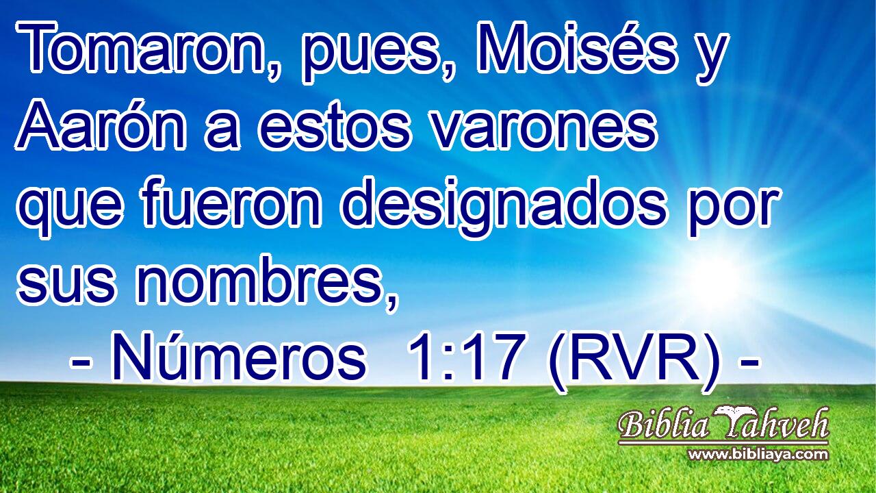 Tomaron, pues, Moisés y Aarón a estos varones que fueron designados por sus nombres,