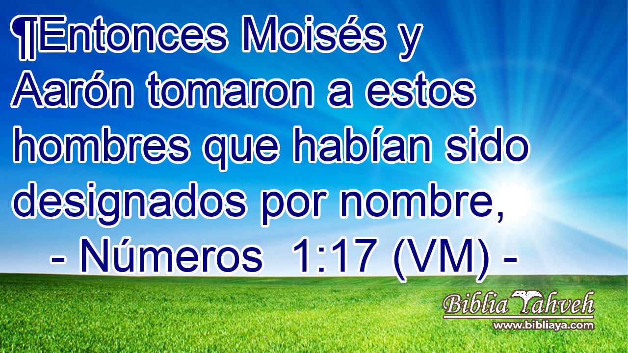  ¶Entonces Moisés y Aarón tomaron a estos hombres que habían sido designados por nombre, 