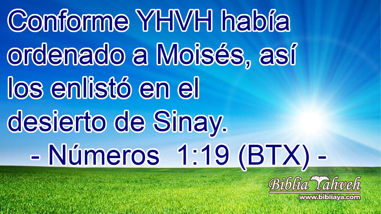 Conforme YHVH había ordenado a Moisés, así los enlistó en el desierto de Sinay.