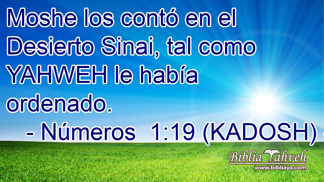 Moshe los contó en el Desierto Sinai, tal como YAHWEH le había ordenado. 