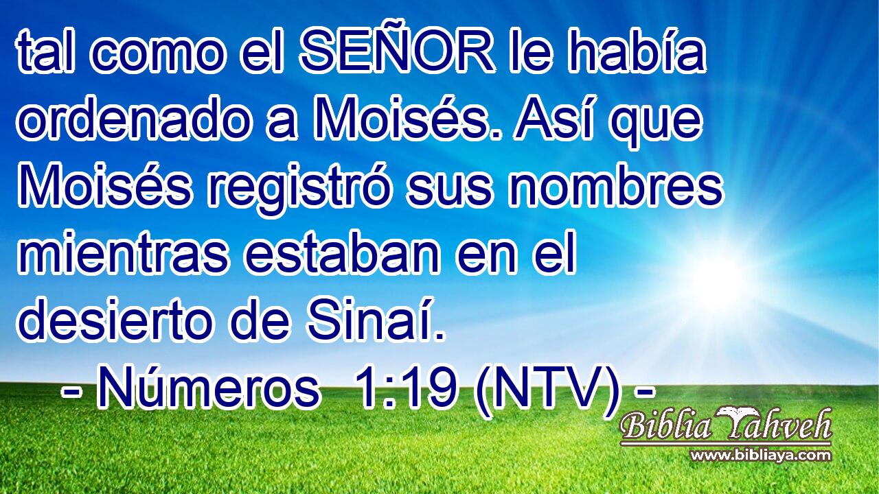 tal como el SEÑOR le había ordenado a Moisés. Así que Moisés registró sus nombres mientras estaban en el desierto de Sinaí.