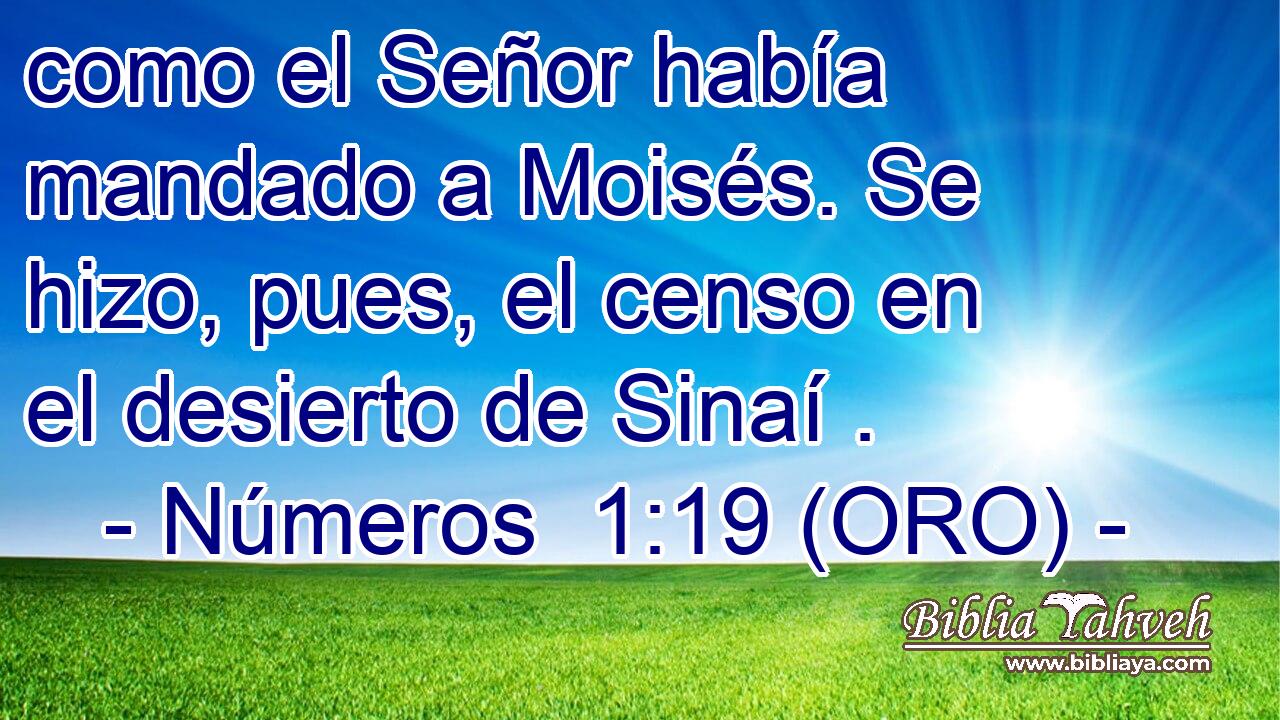  como el Señor había mandado a Moisés. Se hizo, pues, el censo en el desierto de Sinaí . 