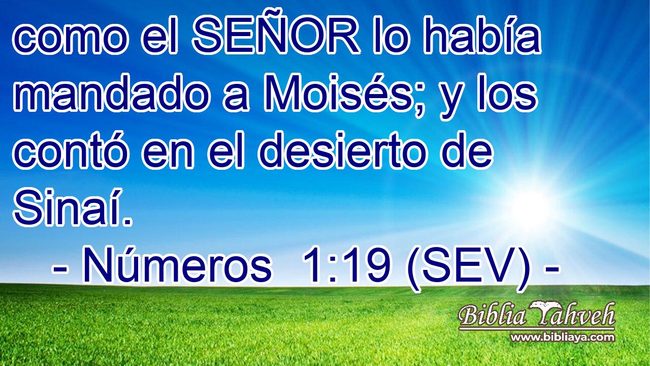 como el SEÑOR lo había mandado a Moisés; y los contó en el desierto de Sinaí.