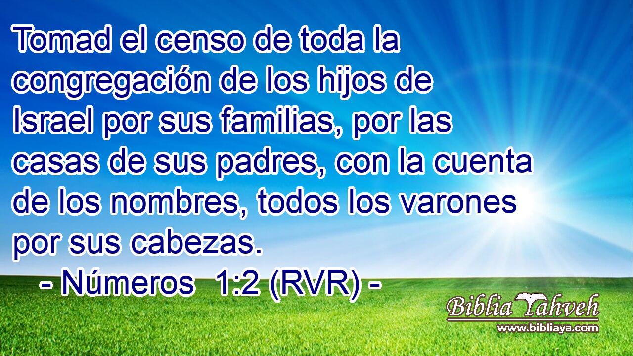 Tomad el censo de toda la congregación de los hijos de Israel por sus familias, por las casas de sus padres, con la cuenta de los nombres, todos los varones por sus cabezas.