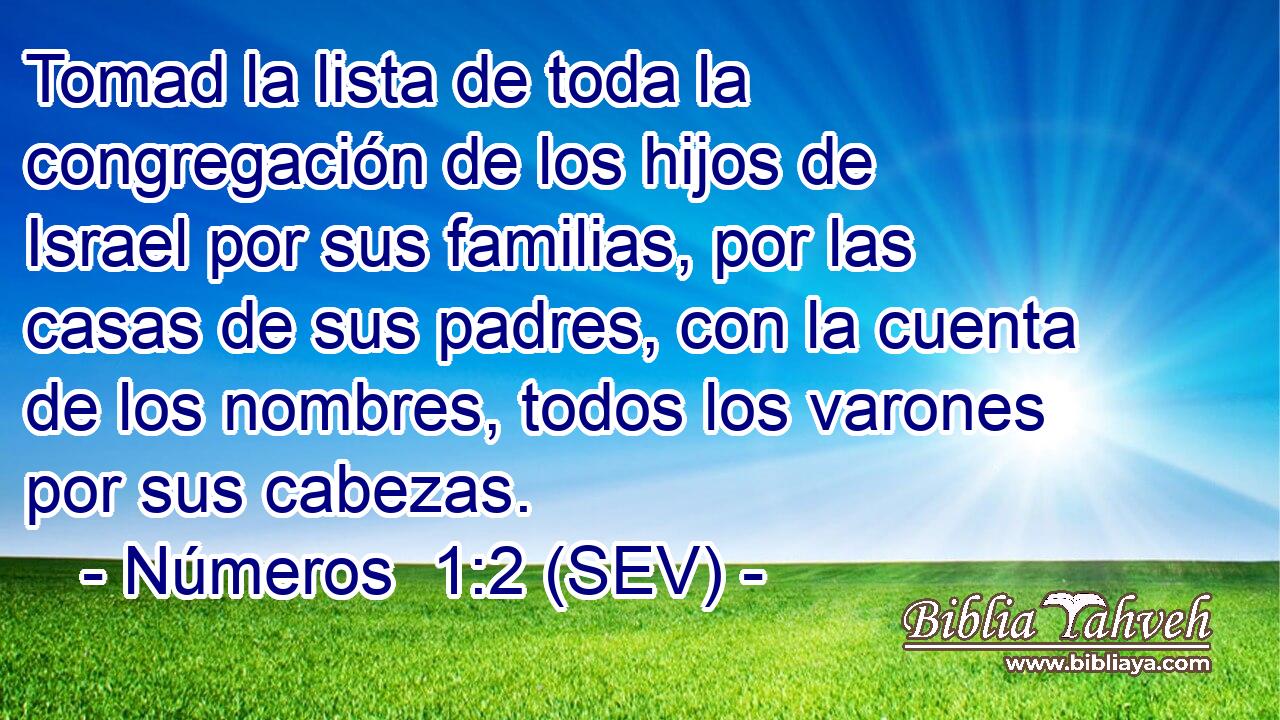 Tomad la lista de toda la congregación de los hijos de Israel por sus familias, por las casas de sus padres, con la cuenta de los nombres, todos los varones por sus cabezas.