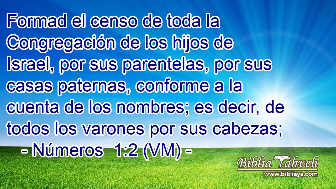  Formad el censo de toda la Congregación de los hijos de Israel, por sus parentelas, por sus casas paternas, conforme a la cuenta de los nombres; es decir, de todos los varones por sus cabezas; 