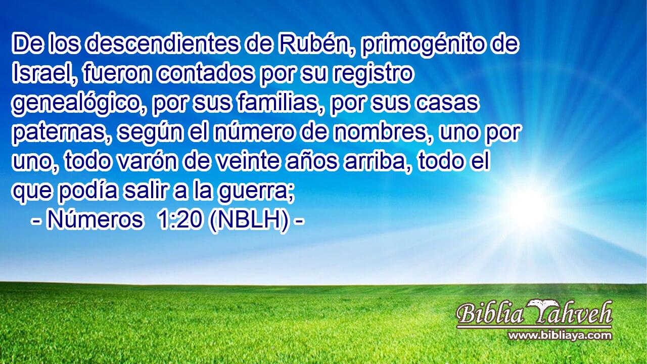  De los descendientes de Rubén, primogénito de Israel, fueron contados por su registro genealógico, por sus familias, por sus casas paternas, según el número de nombres, uno por uno, todo varón de veinte años arriba, todo el que podía salir a la guerra; 