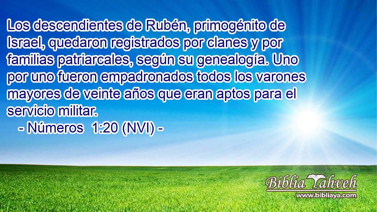  Los descendientes de Rubén, primogénito de Israel, quedaron registrados por clanes y por familias patriarcales, según su genealogía. Uno por uno fueron empadronados todos los varones mayores de veinte años que eran aptos para el servicio militar. 