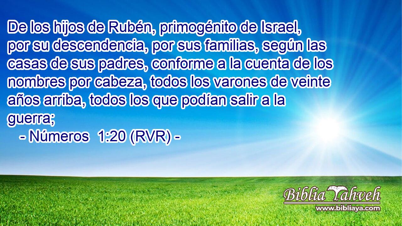 De los hijos de Rubén, primogénito de Israel, por su descendencia, por sus familias, según las casas de sus padres, conforme a la cuenta de los nombres por cabeza, todos los varones de veinte años arriba, todos los que podían salir a la guerra;