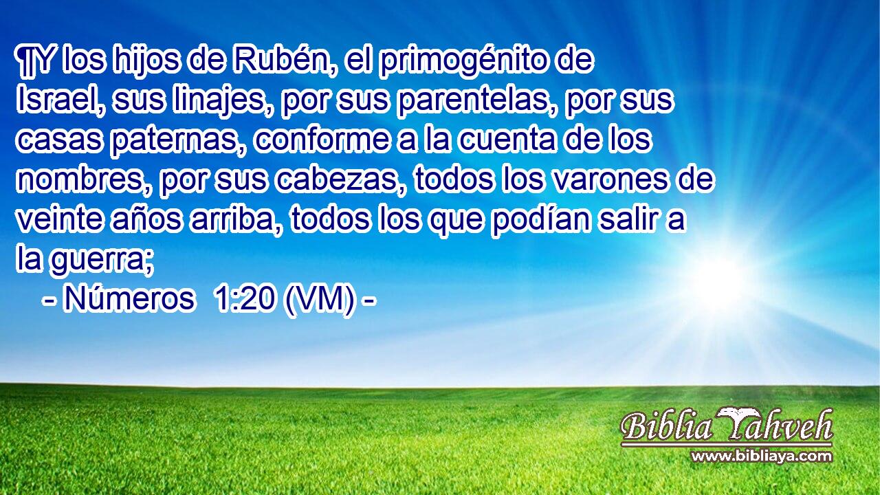  ¶Y los hijos de Rubén, el primogénito de Israel, sus linajes, por sus parentelas, por sus casas paternas, conforme a la cuenta de los nombres, por sus cabezas, todos los varones de veinte años arriba, todos los que podían salir a la guerra; 