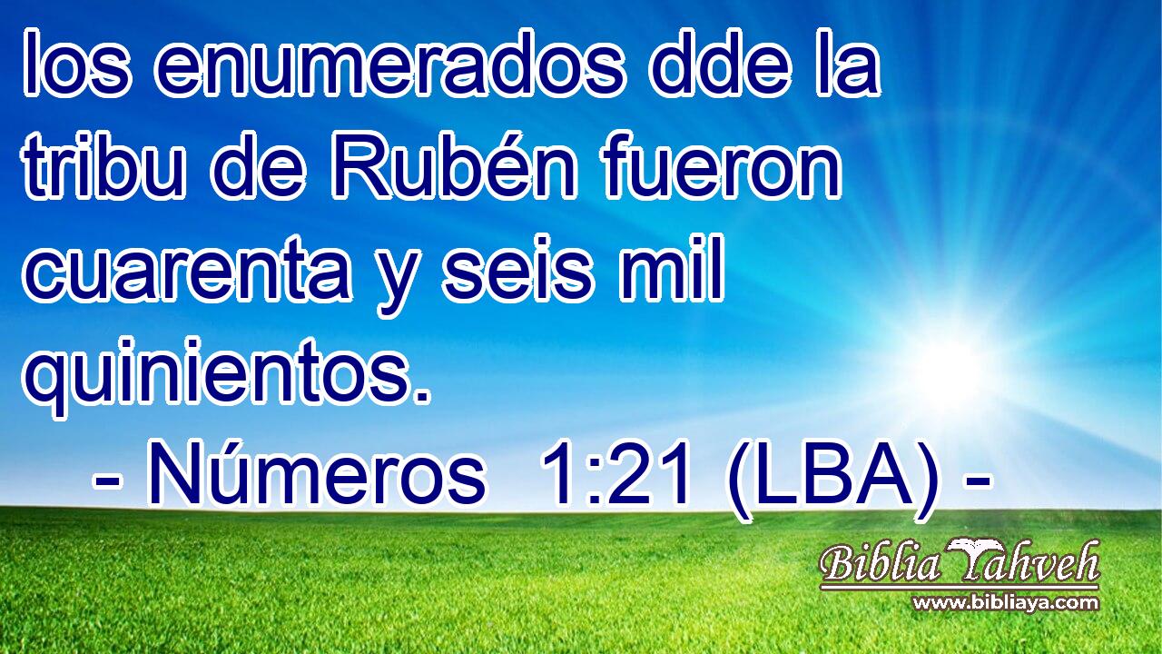 los enumerados dde la tribu de Rubén fueron cuarenta y seis mil quinientos.