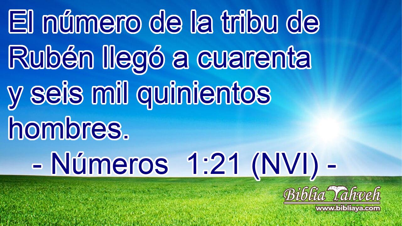  El número de la tribu de Rubén llegó a cuarenta y seis mil quinientos hombres. 